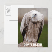 Griffon Vulture, carte postale "Ne pas lier" (Devant / Derrière)