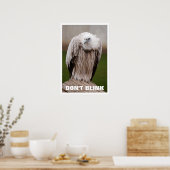 Griffon Vulture, Ne pas lier Poster (Cuisine)