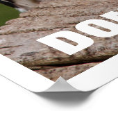 Griffon Vulture, Ne pas lier Poster (Coin)