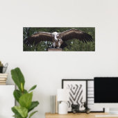 Griffon Vulture Poster (Thuiskantoor)