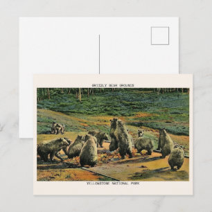 grijpbieren, gele steen nationaal park geschenken briefkaart