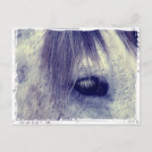 grijs briefkaart (Voorkant)