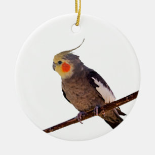 Grijs en Geel Cockatiel Pet Bird Kleur Foto Keramisch Ornament