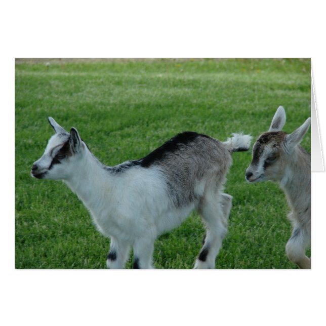 Grijs en Rood (Voorkant Horizontaal)