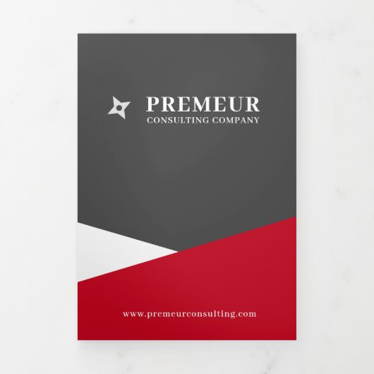 Grijs en Rood Bedrijf Tri Fold Brochure Drieluik Kaart (Cover)