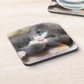 GRIJS EN WIT KITTEN ONDERZETTERS (Linkerzijde)