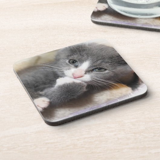 GRIJS EN WIT KITTEN ONDERZETTERS (Linkerzijde)