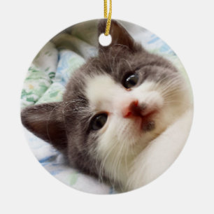 Grijs en Witte Keuten Ornament