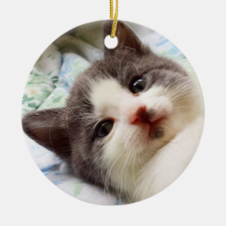 Grijs en Witte Keuten Ornament