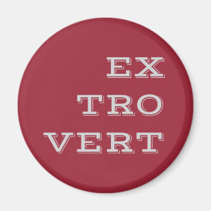 Grijs Extrovert Magnet Magneet