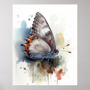 Grijs Hairstreak Butterfly Art Print Poster