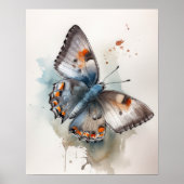 Grijs Hairstreak Butterfly Art Print Poster (Voorkant)