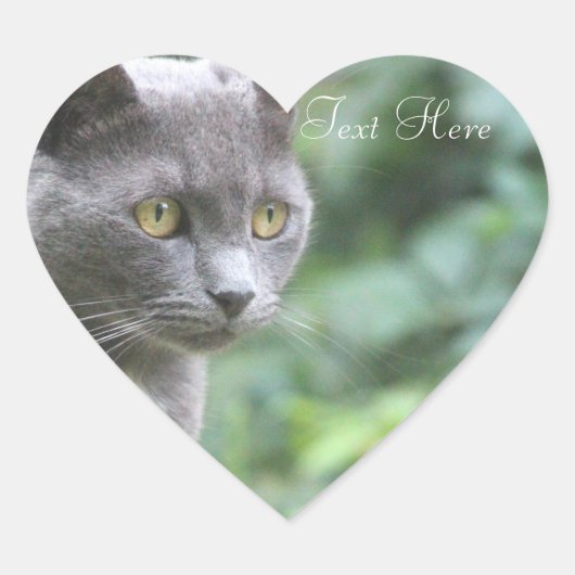 Grijs Kat hart Sticker (Voorkant)