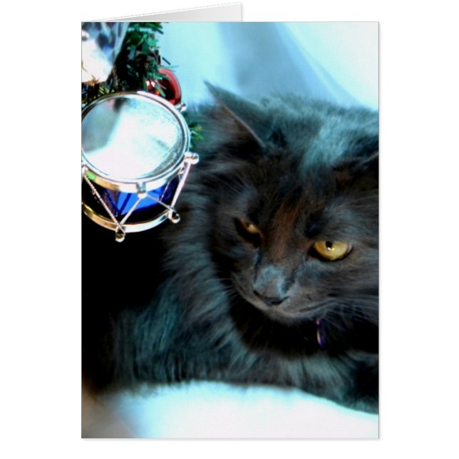 Grijs Kat II van Kerstmis (Voorkant)