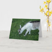 Grijs Kind van de Nanny Kaart (Gele Bloem)