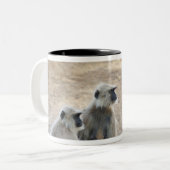 Grijs of gewone of Hanuman langur (Semnopithecus) Tweekleurige Koffiemok (Voorkant links)