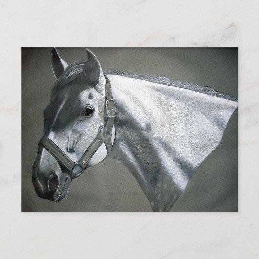 Grijs op Grijze paardenkunst Briefkaart (Voorkant)