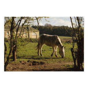 Grijs op het Boerderij Tarvit Foto Afdruk