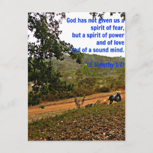 Grijs paard inspirerend Timothy Bible Verse God Briefkaart