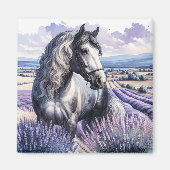  Grijs Paard Staande In Lavendel Magneet (Voorkant)