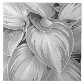 Grijs patroon Bladeren Botanisch decoratief Tegeltje (Voorkant)