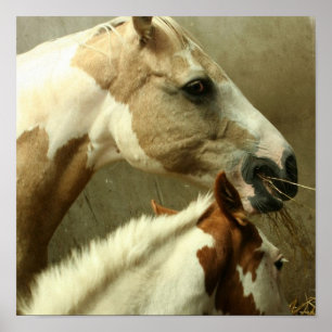 Grijs Poster van het paard Eventing