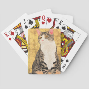 grijs wit kattenportret pokerkaarten
