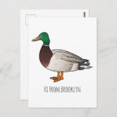 Grijsbuikmierklauwier Briefkaart (Voorkant / Achterkant)