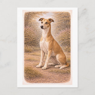 Grijshond in vintage stijl briefkaart