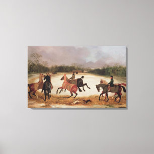 Grijspaarden Canvas Afdruk