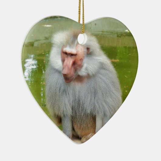 Grijze aap, Ape Macaque, Natuur, dierlijk wild Keramisch Ornament (Rechts)