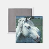 Grijze appelwijn in blote vorm magneet (Voorkant / Achterkant)