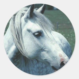 Grijze appelwijn in blote vorm ronde sticker