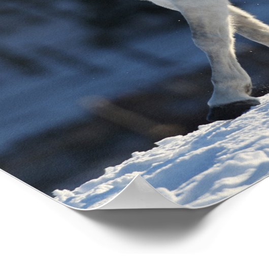 Grijze Arabisch met sneeuwststroom Poster (Hoek)