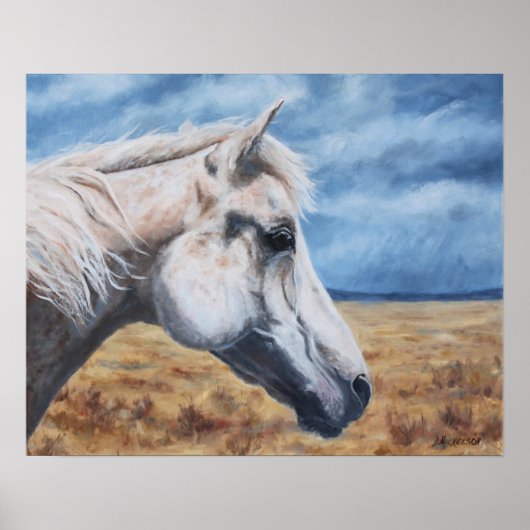 Grijze Arabisch paard - Kunstafdrukken Poster (Voorkant)