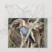 Grijze Briefkaart (Voorkant / Achterkant)