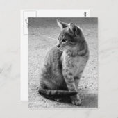 Grijze Briefkaart (Voorkant / Achterkant)