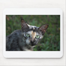 Grijze bruine kat met groene ogen muismat