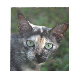 Grijze bruine kat met groene ogen notitieblok