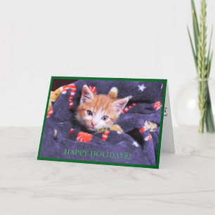 Grijze deken kat Oranje kitten Kerstkaart Feestdagen Kaart