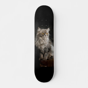 Grijze donzige kat skateboard