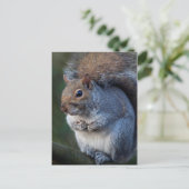 Grijze eekhoorn Briefkaart (Staand voorkant)