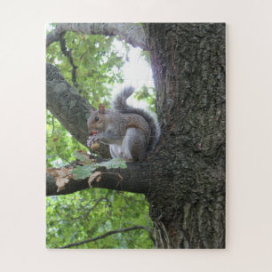 Grijze eekhoorn die een eikel in een eikenboom eet legpuzzel