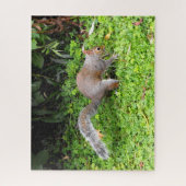 Grijze eekhoorn legpuzzel (Verticaal)