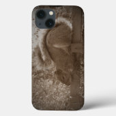 grijze eekhoorn rust sepia tuindieren foto Case-Mate iPhone case (Achterkant)