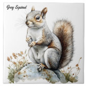 Grijze eekhoorn tegeltje (Voorkant)