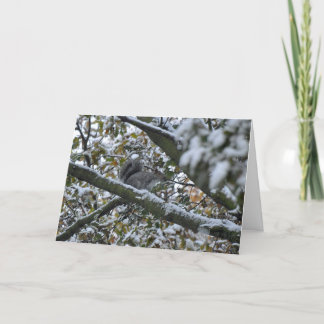 Grijze eekhoornKerstkaart Feestdagen Kaart