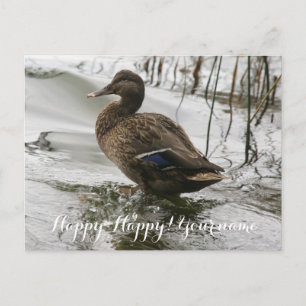 Grijze eend op donker het meer briefkaart