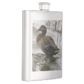 Grijze eend op donker het meer flacon (Rechts)
