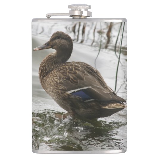 Grijze eend op donker het meer heupfles (Voorkant)